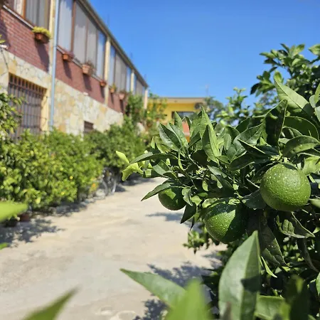 بيت ضيافة Sokol