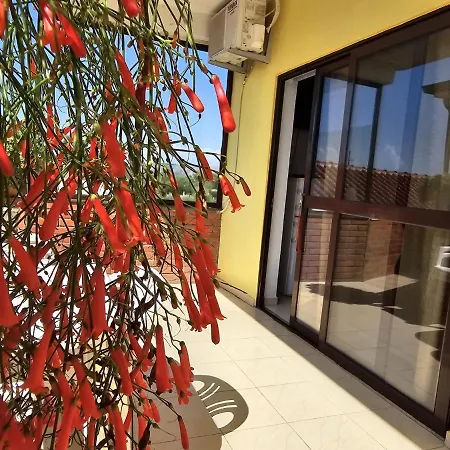 בית הארחה Sokol *